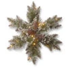 National Tree Company Glittery Bristle Pine 18 In. Artificial Snowflake With Battery Operated Warm White LED Lights-GB1-300L-18SB-1 300154636 -Christmas Decoration Store national tree company glittery bristle pine 18 in. artificial snowflake with battery op