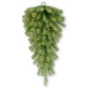 National Tree Company Norwood 36 In. Fir Teardrop With Battery Operated Warm White LED Lights-NF3-316L-30T-B1 300441254 -Christmas Decoration Store national tree company norwood 36 in. fir teardrop with battery operated warm white led