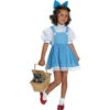 Rubie’s Costumes Deluxe Dorothy Child Costume-R882094_L 205470125 -Christmas Decoration Store rubies costumes deluxe dorothy child costume r882094 l