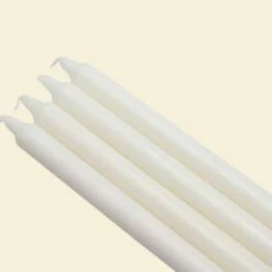 Zest Candle 10 In. White Straight Taper Candles (12-Set)-CEZ-092 203362888
