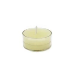 Zest Candle 1.5 In. Ivory Tealight Candles (50-Pack)-CTZ-005 203363113