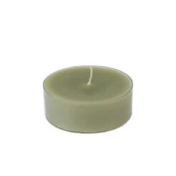Zest Candle 2.25 In. Sage Green Mega Oversized Tealights (12-Box)-CTM-029 203363095