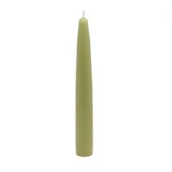Zest Candle 6 In. Sage Green Taper Candles (Set Of 12)-CEZ-015 203362811